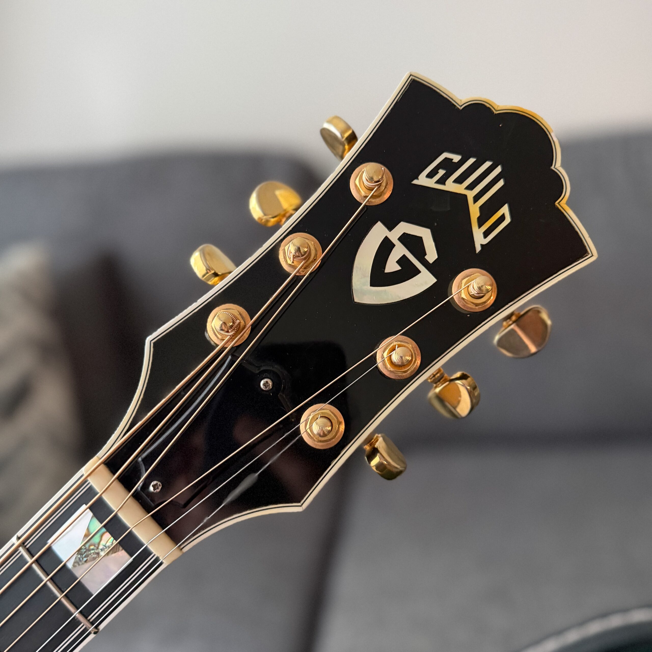 2005 Guild D55 - 21